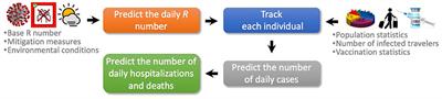 COVIDHunter: COVID-19 Pandemic Wave Prediction and Mitigation via Seasonality Aware Modeling